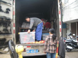 供應(yīng) 東四環(huán)搬家拉貨 東四環(huán)搬家價(jià)格便宜 兄弟順心搬家 豐臺(tái)區(qū) 星宇泉制造網(wǎng)