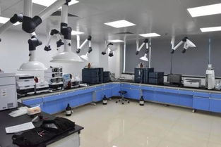 號(hào)外！玉環(huán)市食品藥品檢驗(yàn)檢測中心搬家啦，家政服務(wù)同步煥新