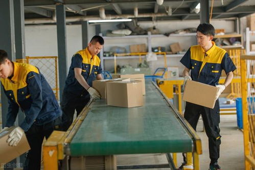 馬云預(yù)言 后疫情時(shí)代，家政服務(wù)或成新財(cái)富風(fēng)口